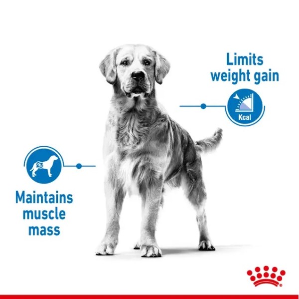 Royal Canin Light Weight Care Medium - Пълноценна суха храна за кучета от средни породи със склонност към наддаване на килограми - 12 кг